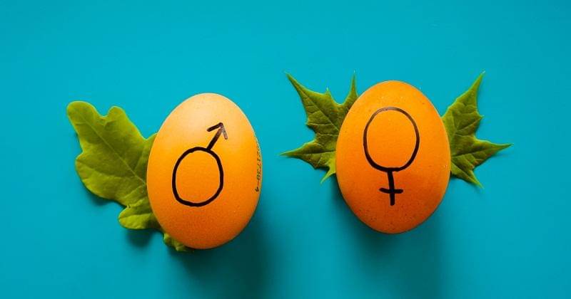 Unsplash/Dainis Graveris