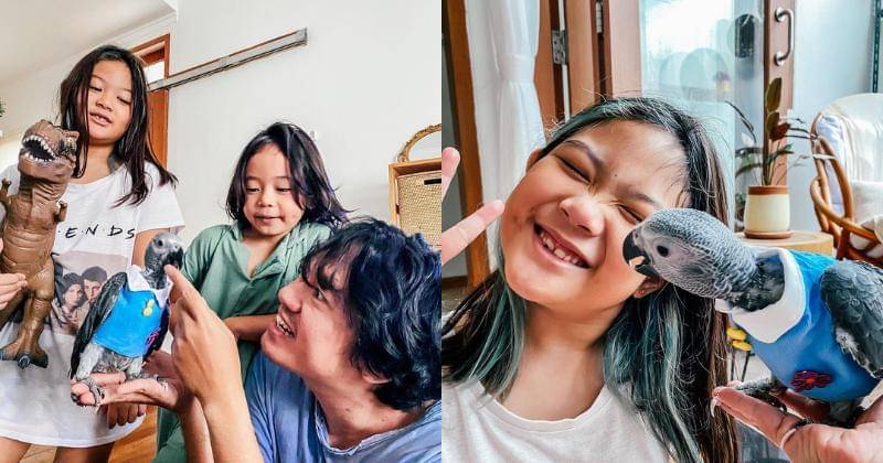 Instagram.com/melki.bajaj