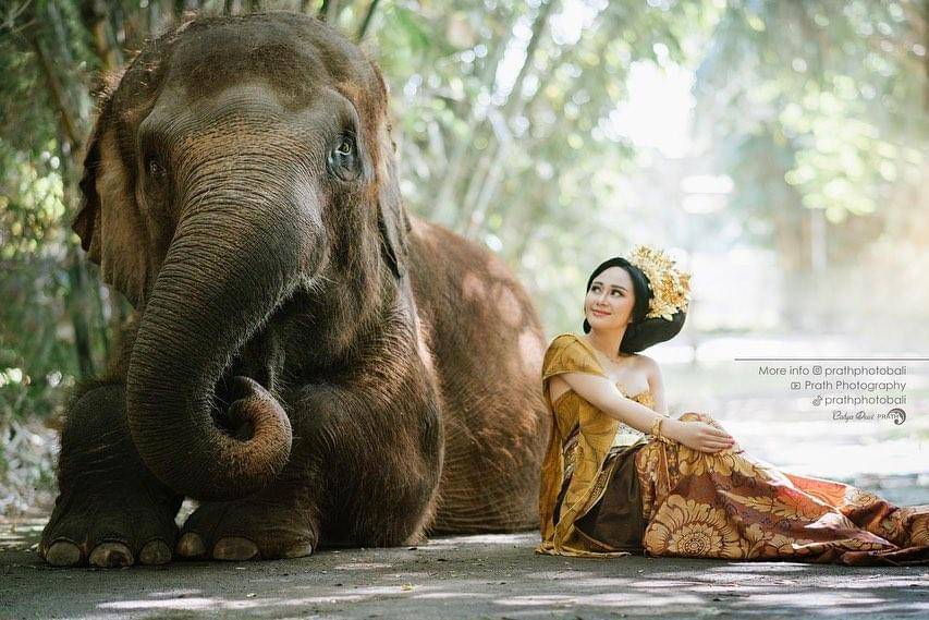 Instagram.com/denisechariesta