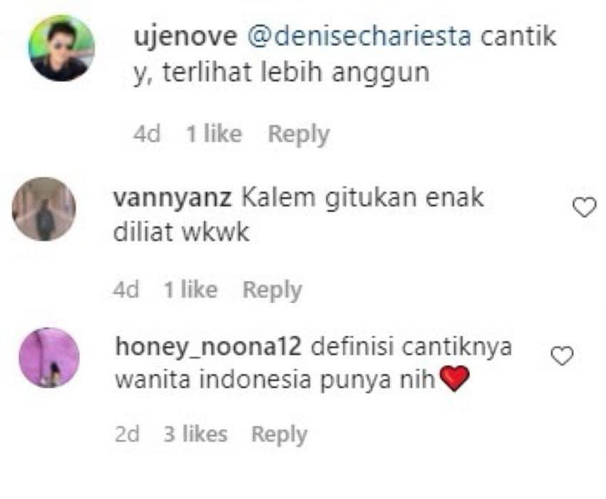 Instagram.com/denisechariesta