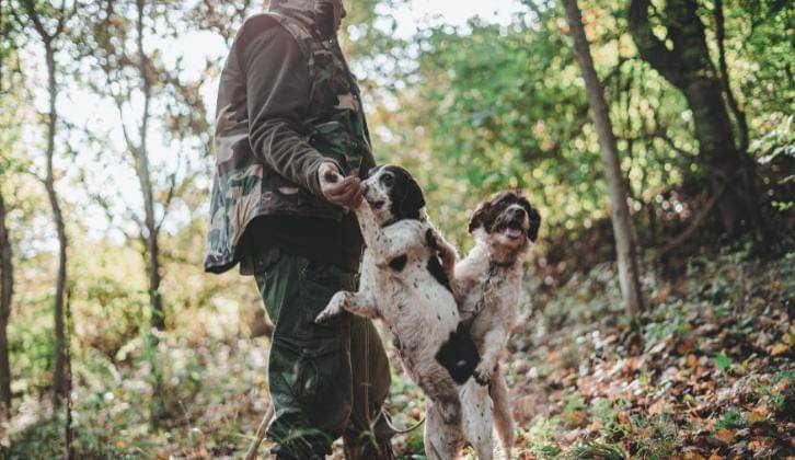 Unsplash/Andrea Cairone