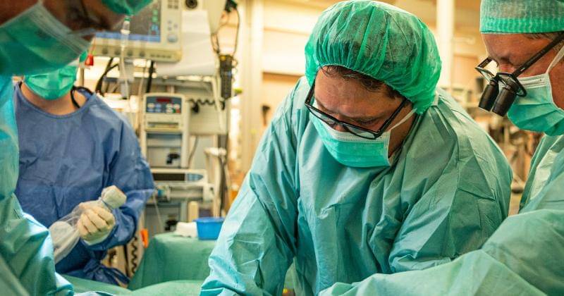 Unsplash/Günter Valda