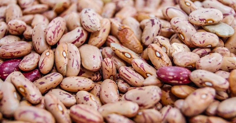 Unsplash/Monkgogi Samson