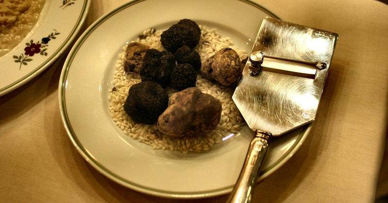 Fakta Unik Jamur Truffle yang Kerap Dianggap 'Berliannya Dapur'