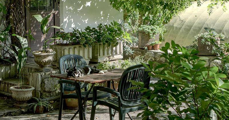 Unsplash/Robin Wersich