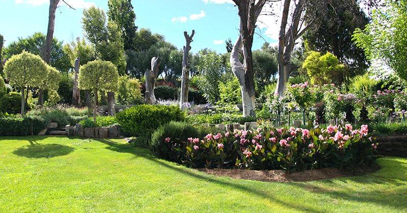 Unsplash/Glen Carrie