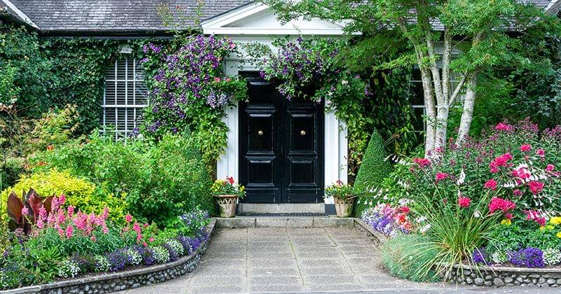 Unsplash/Dimitry Anikin