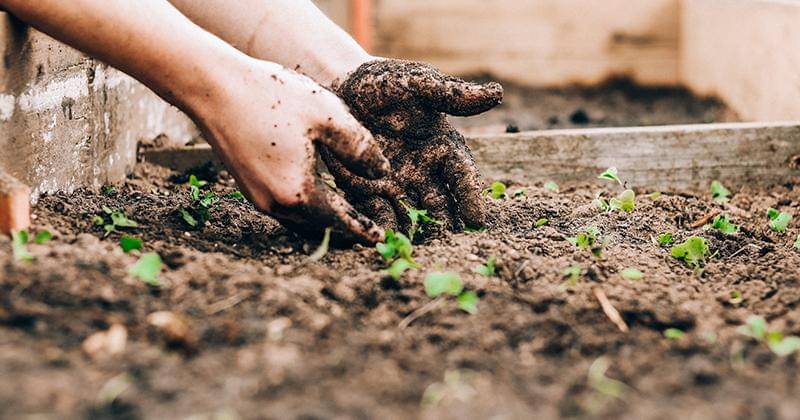 Unsplash/Sandie Clarke