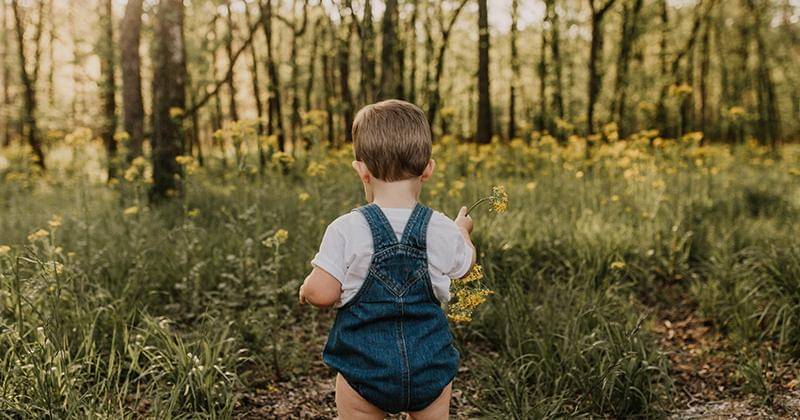 Unsplash/Camylla Battani