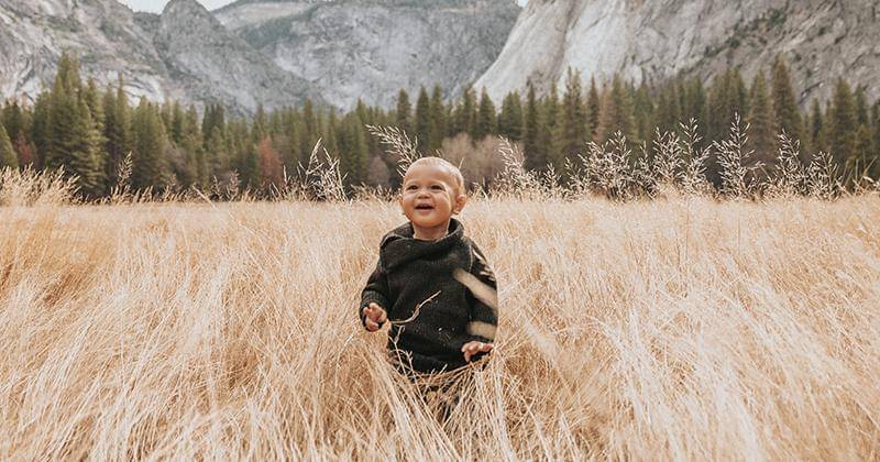 Unsplash/Nathan Dumlao