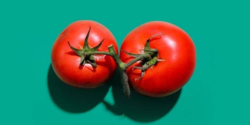 Unsplash/おにぎり