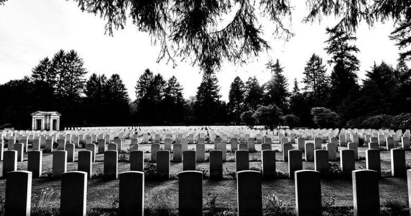 Ilustrasi - Unsplash/Davide Ragusa