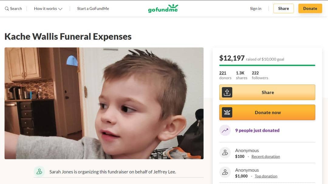 Website/gofundme.com