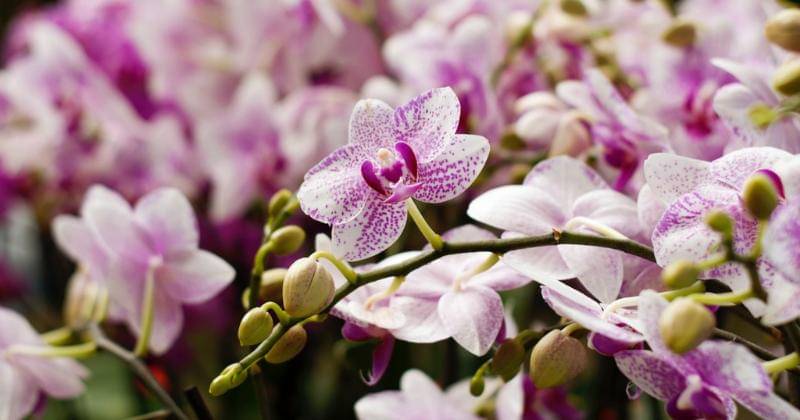 Pexels/Miguel Marmolejos Fernández