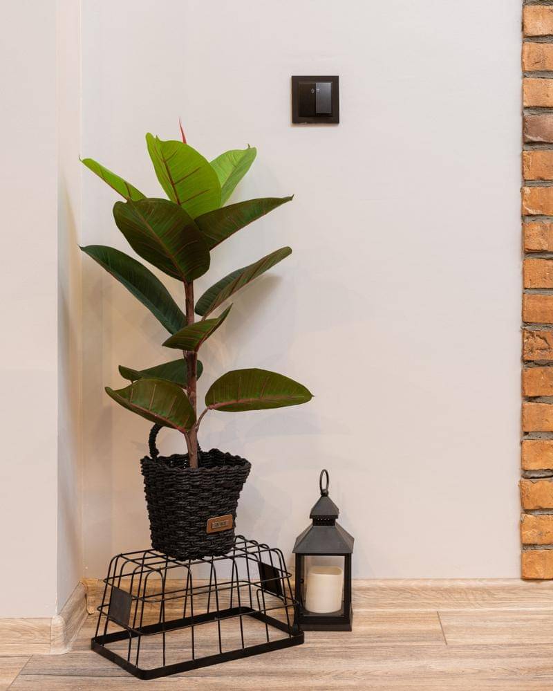 Pexels/Max Vakhtbovych