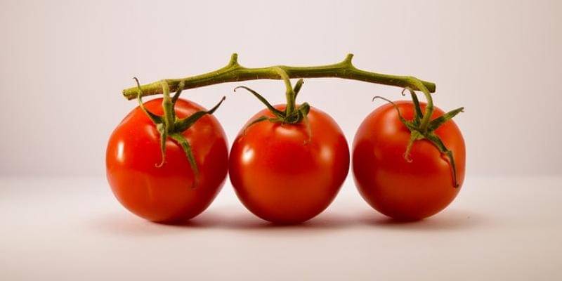 Unsplash/Alex Ghizila