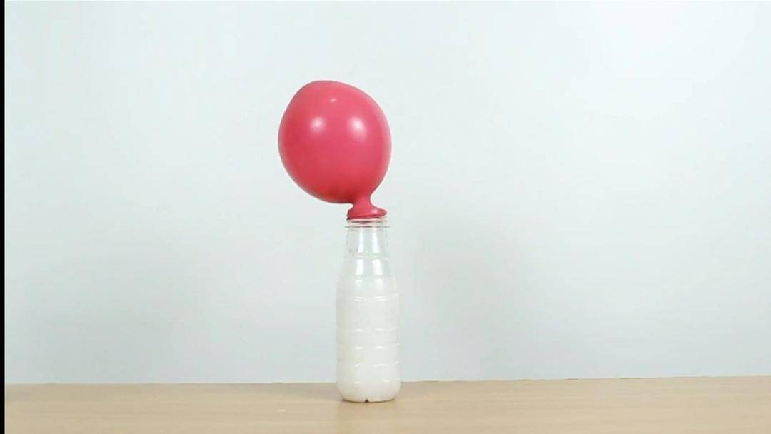 Youtube.com/Kelinci TV