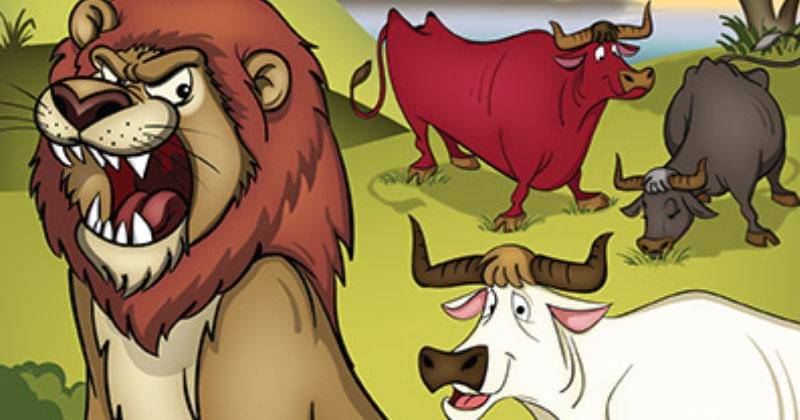 behance/Hanan Baghdady