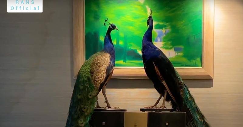 Youtube.com/RANS Official