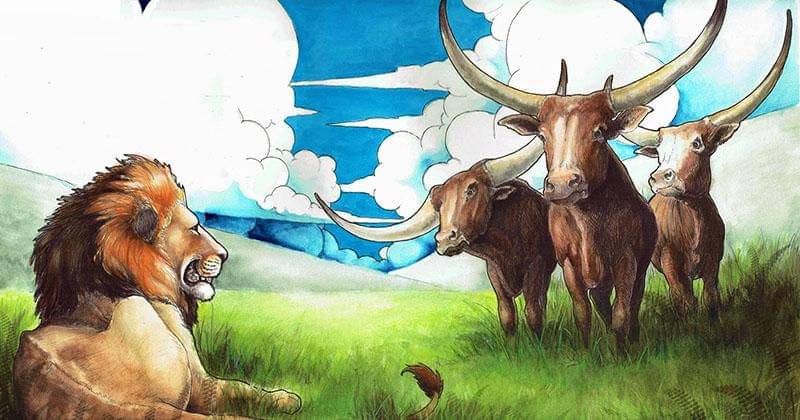 amandaputnam.blogspot.com