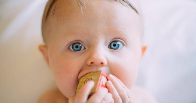 Unsplash/Colin Maynard