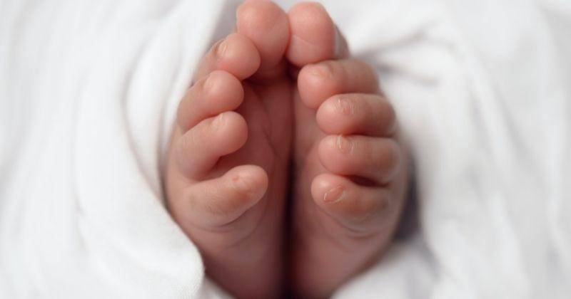 Pexels/Daisy Laparra