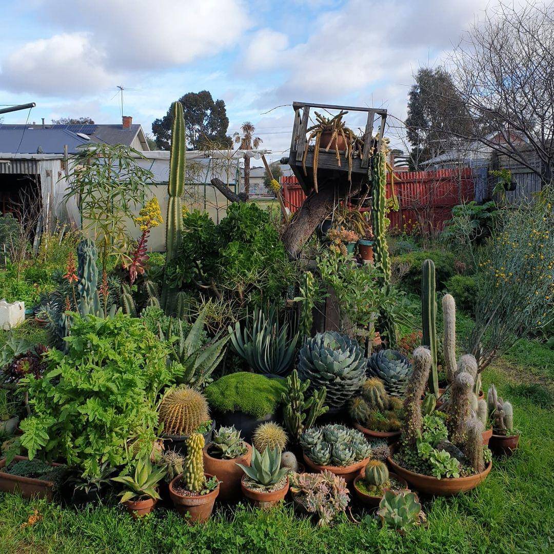 Instagram.com/_green.guy