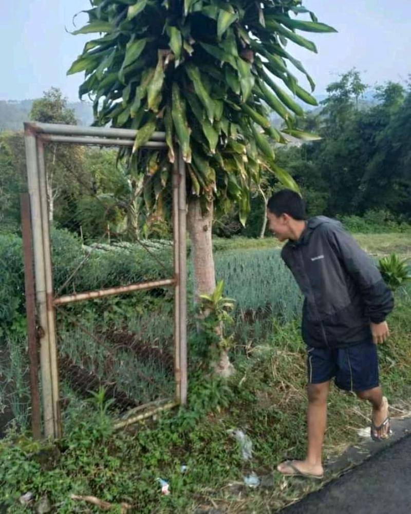 Facebook.com/Zaidaan Damar