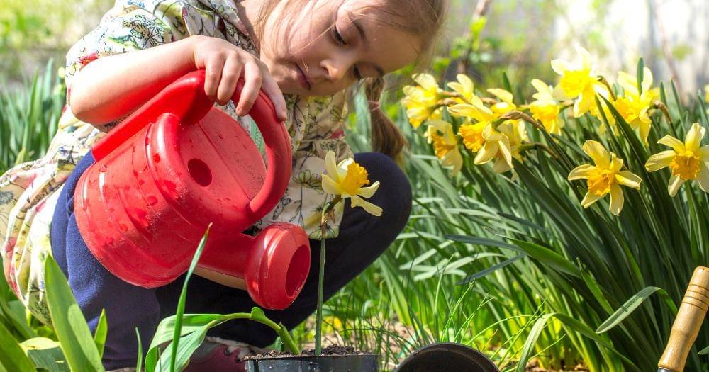 Freepik/Pvproduction