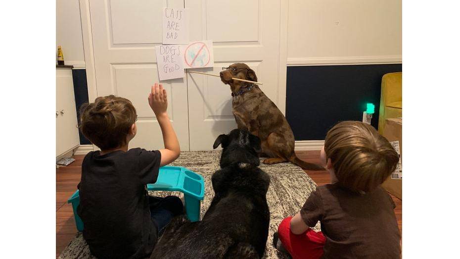 Website/boredpanda.com