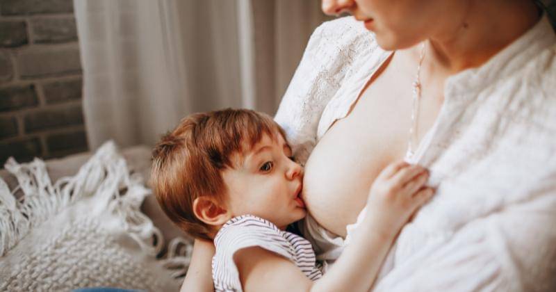 Unsplash/Helena Lopes