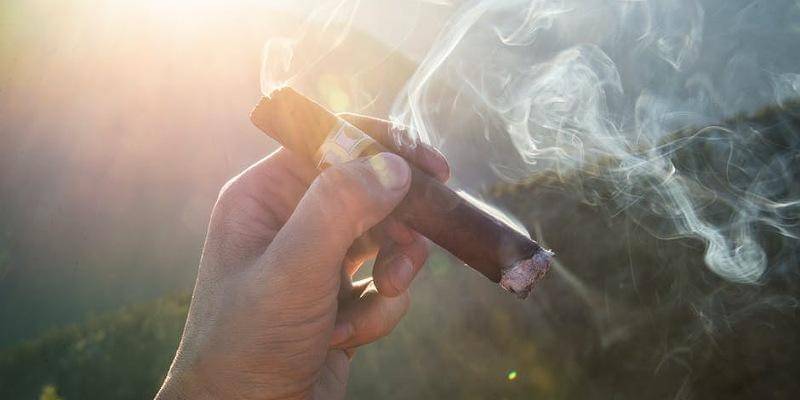 Pexels/Roman Pohorecki