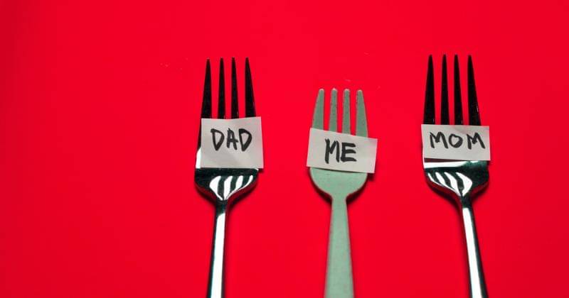 Shutterstock/biDaala_studio