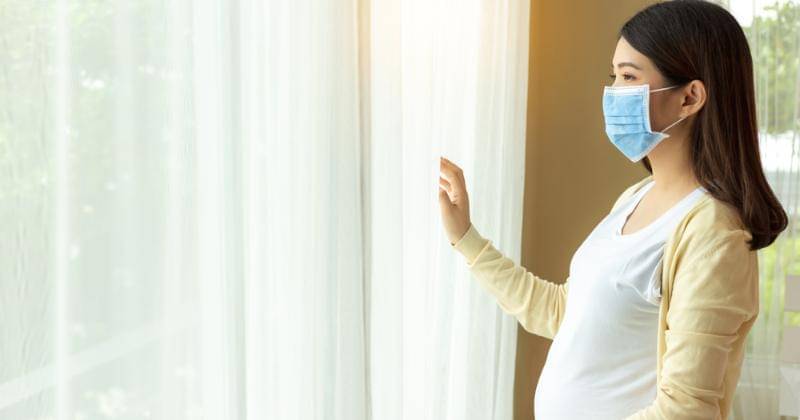 Shutterstock/Nutlegal Photographer