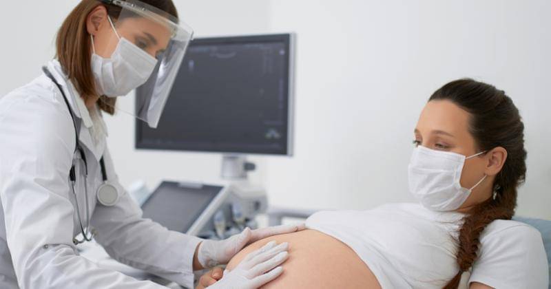 Shutterstock/Serhii Bobyk