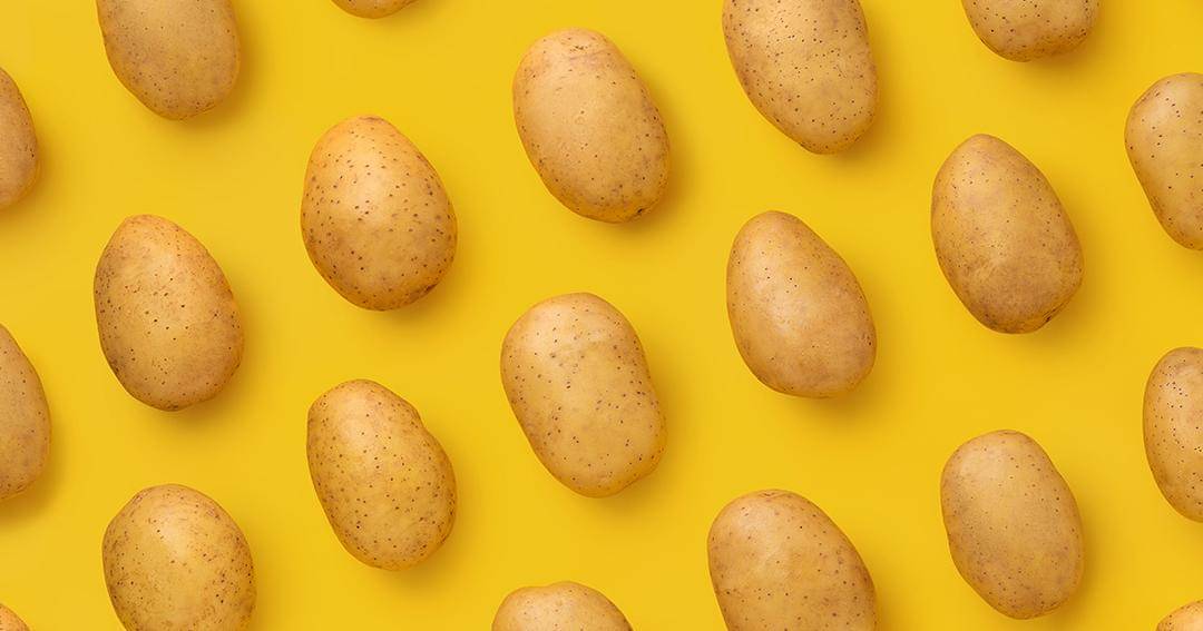 Dok. Jovee - Shutterstock/ulrich22