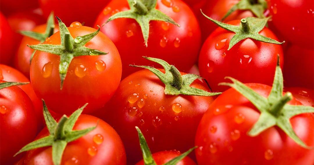 Dok. Jovee - Shutterstock/Francesco83