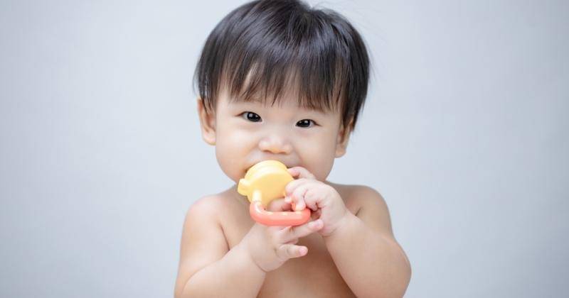 Shutterstock/Yellow Cat