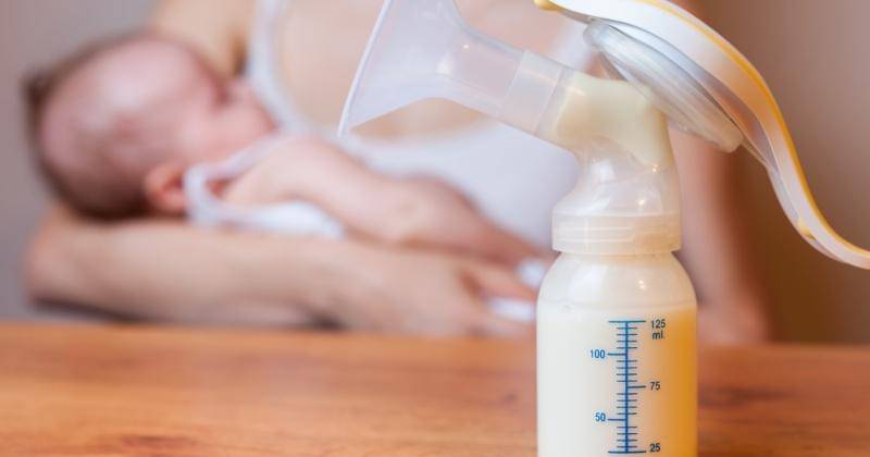 Shutterstock/Pavel Ilyukhin