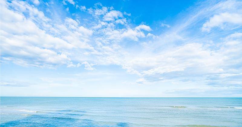 Freepik/lifeforstock