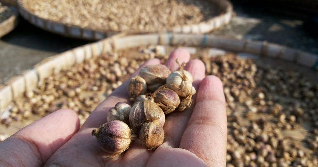 Dok. Jovee -  Shutterstock/Solekhah Nur Hikmah