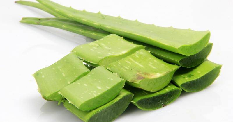 Pixabay/endriqstudio