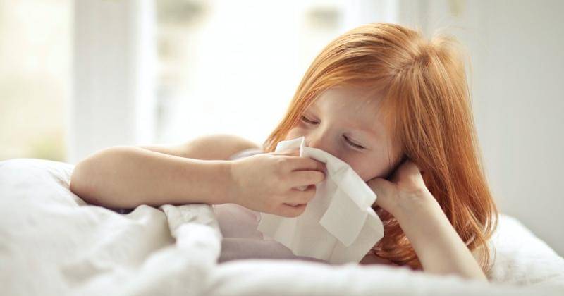 Pexels/Andrea Piacquadio