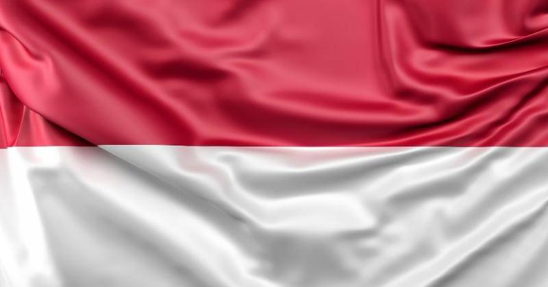 Freepik/www.slon.pics