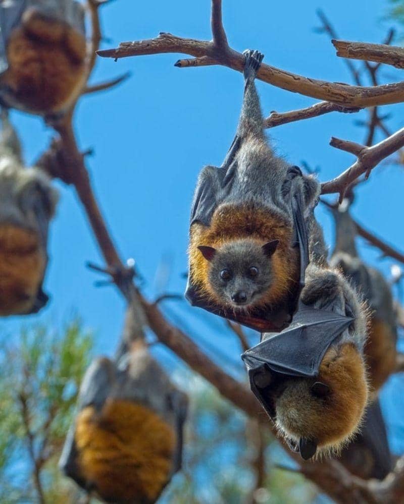 Unsplash/René Riegal