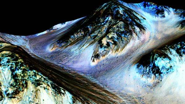 Website/natgeokids.com