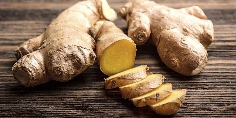 Pixabay/jmexclusives