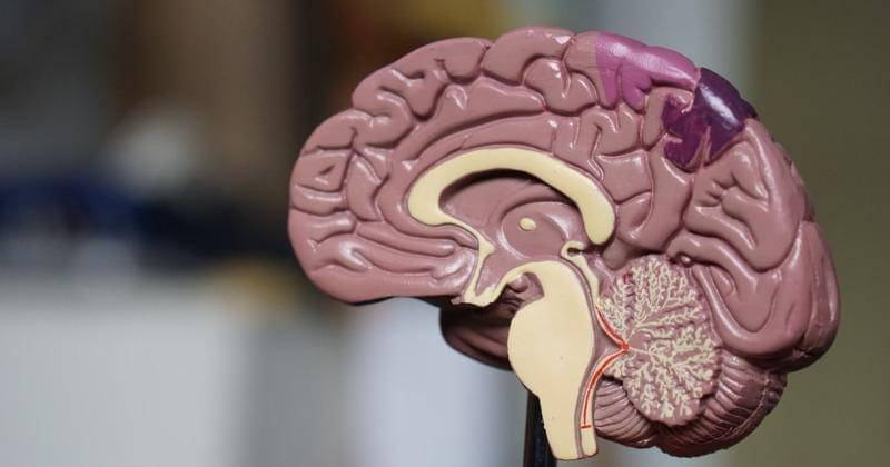 Unsplash/Robina Weemeijer