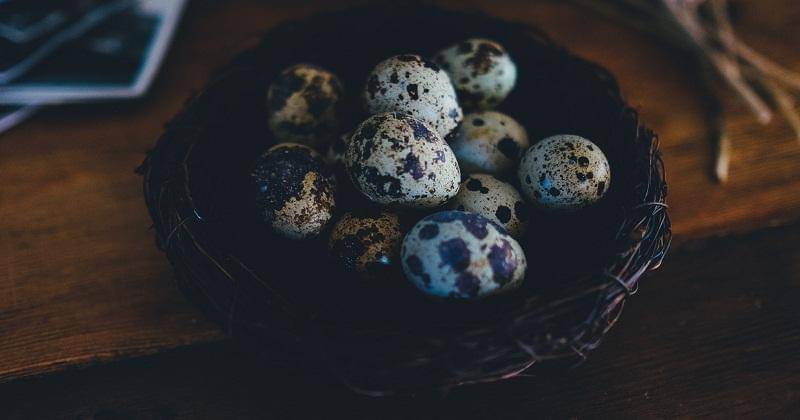 Unsplash/Annie Spratt