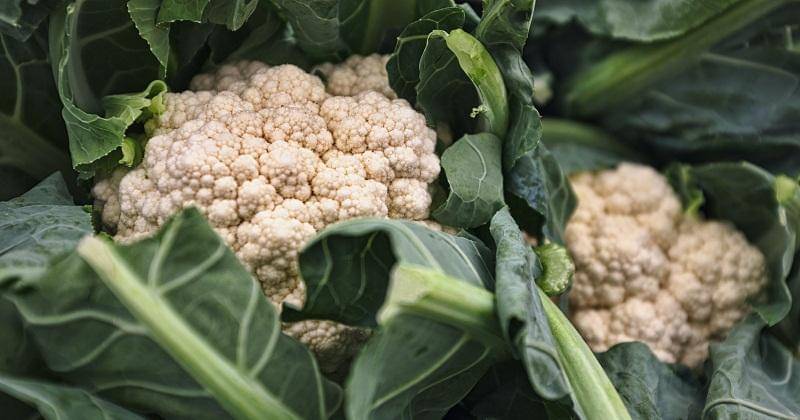 Unsplash/Eric Prouzet